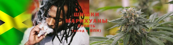 стаф Новозыбков