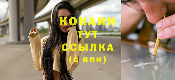 стаф Новозыбков