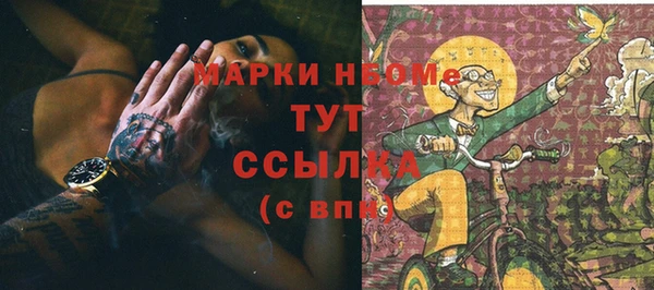 стаф Новозыбков