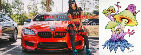 стаф Новозыбков