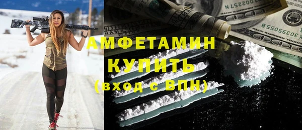 стаф Новозыбков