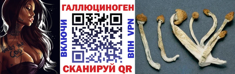 Галлюциногенные грибы Psilocybe  гидра зеркало  Сычёвка 